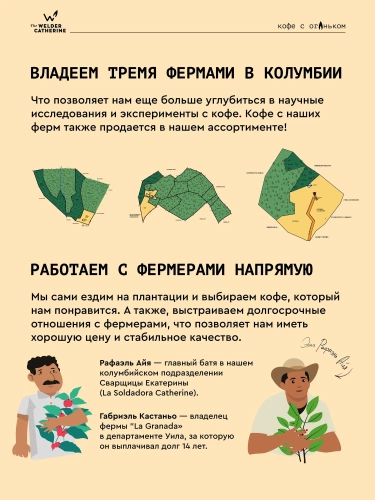 Бразилия Родомуньо СВАРЩИЦА ЕКАТЕРИНА (для эспрессо) кофе в зернах, упак. 250 г.  фото 4