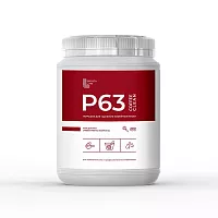 Порошок для очистки от кофейных масел BARISTA LINE Р-63, 1кг 