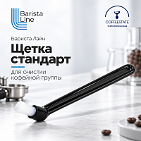Щетка Стандарт 